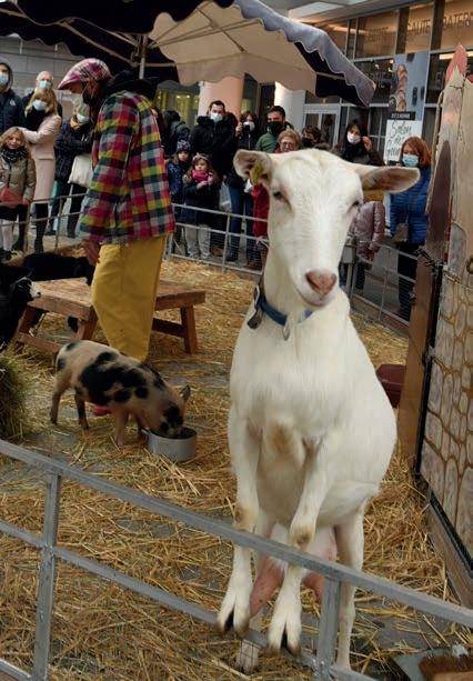 Salon des gourmets à Joinville le Pont