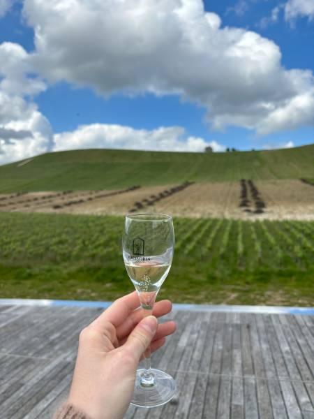 Excursion à Epernay pour des Séniors