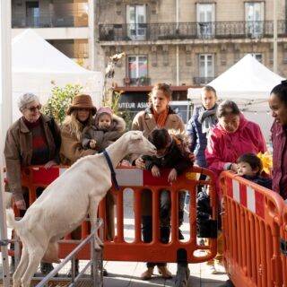 Salon des gourmets à Joinville le Pont
