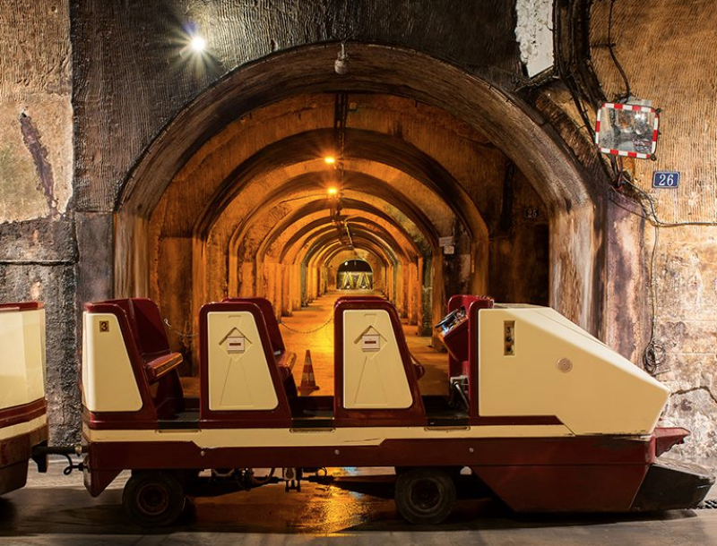 Excursion à Epernay pour des Séniors