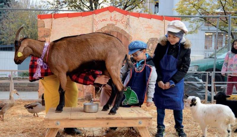 Salon des gourmets à Joinville le Pont