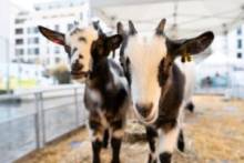 Nos prestations sur le secteur de Bordeaux 33 Gironde